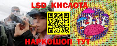 индика Обнинск