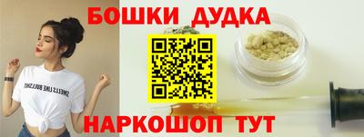 индика Обнинск