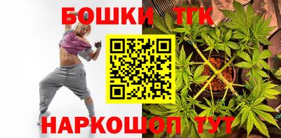 индика Обнинск