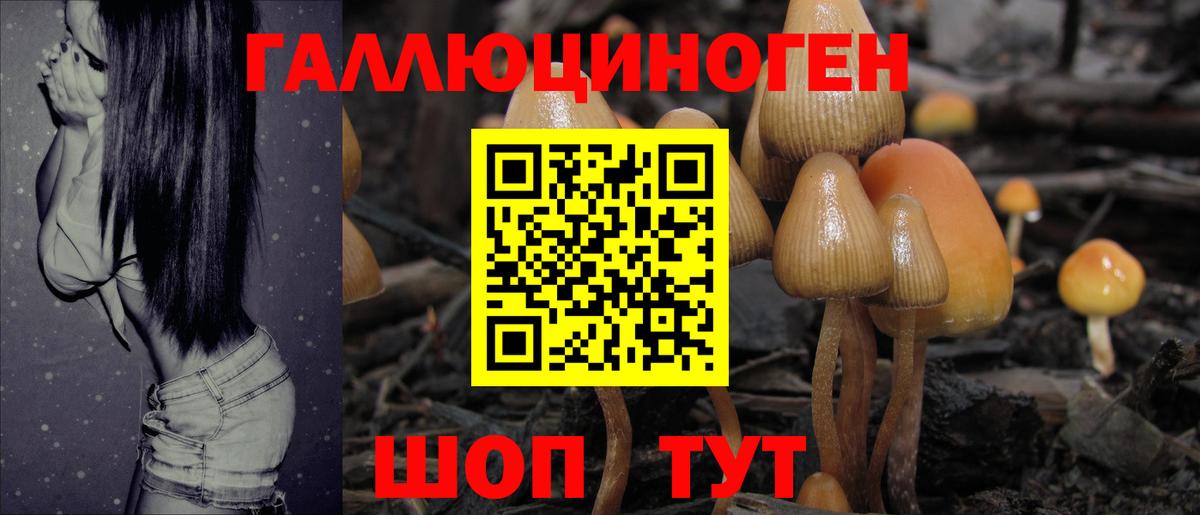 Галлюциногенные грибы MAGIC MUSHROOMS Сокол