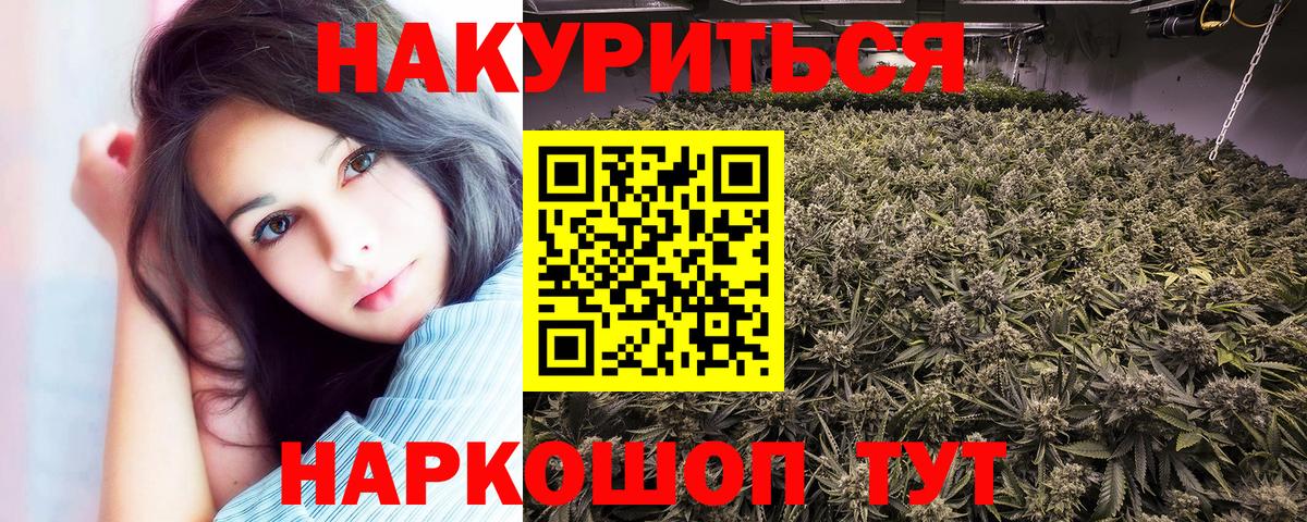 Шишки марихуана индика Сокол